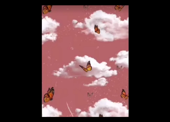 Meet your Posher, Sisi - Picture 2 of 2